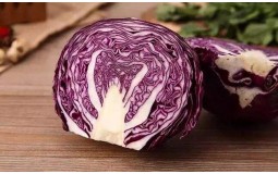 新鲜紫甘蓝 蔬菜沙拉紫色包菜 西餐菜包菜宝宝辅食